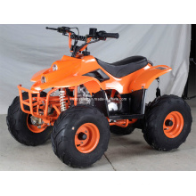 110CC ATV with 7 Inch Big Wheel (ET-ATV006)